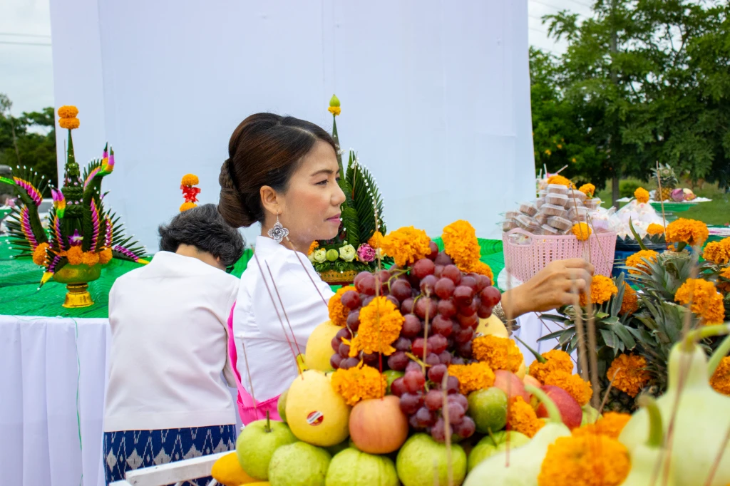 catalogs_file_429_24_52_344182.webp