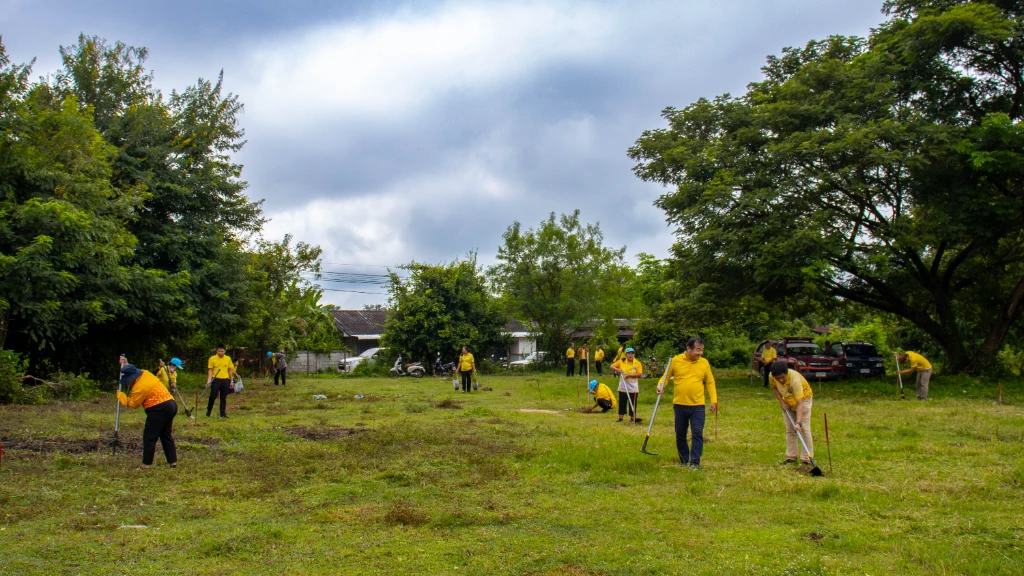 catalogs_file_481_4_25_195601.webp