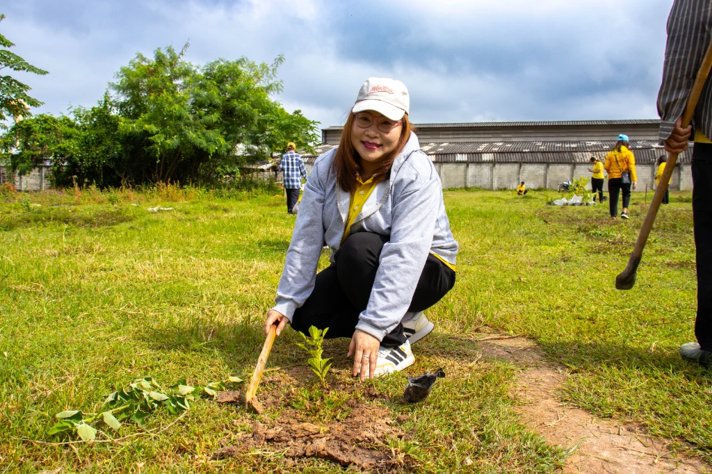 catalogs_file_481_4_25_196485.webp