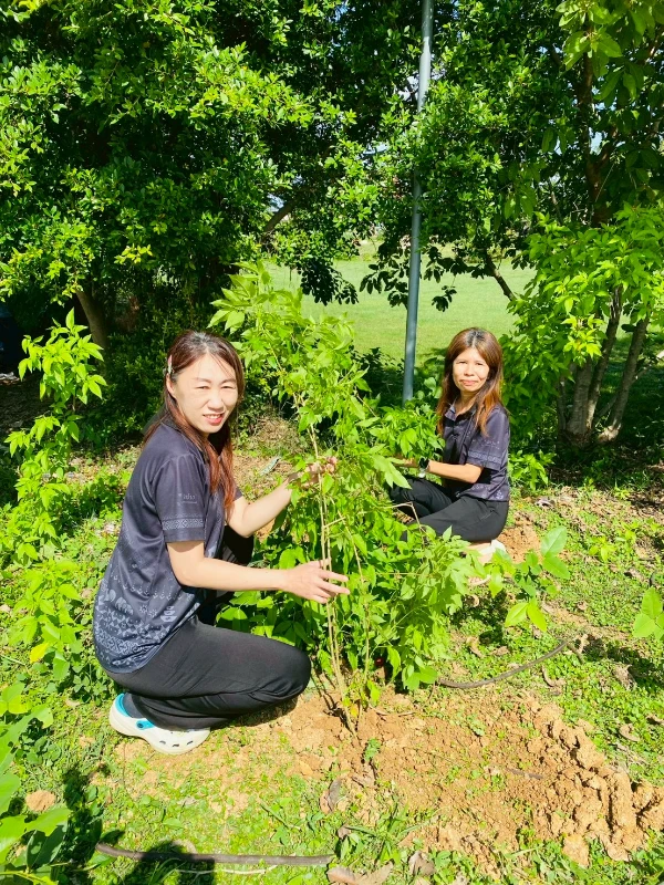 catalogs_file_613_7_8_484281.webp