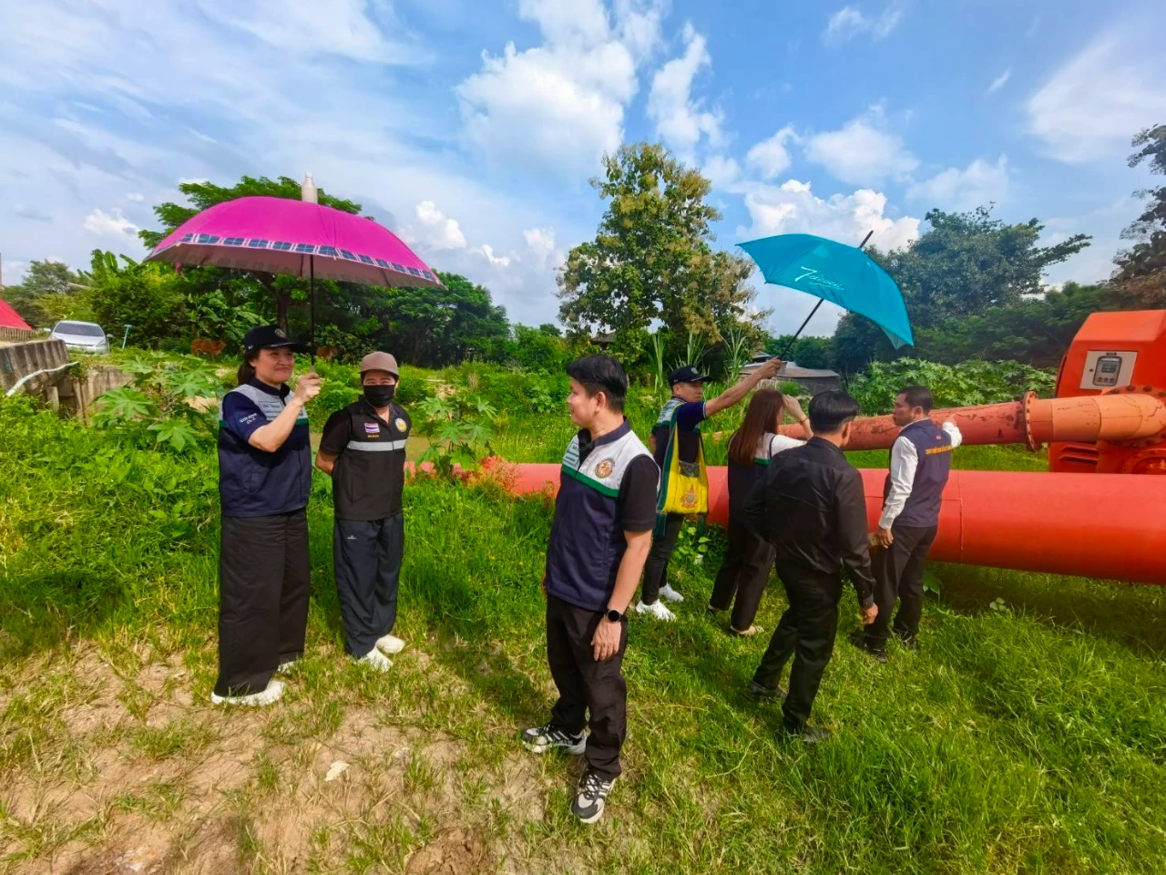 catalogs_file_693_13_17_560110.webp