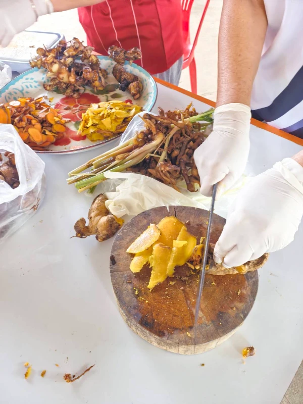 catalogs_file_662_23_49_471539.webp